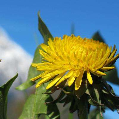 九博体育手机版