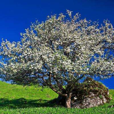 快彩乐首页app下载